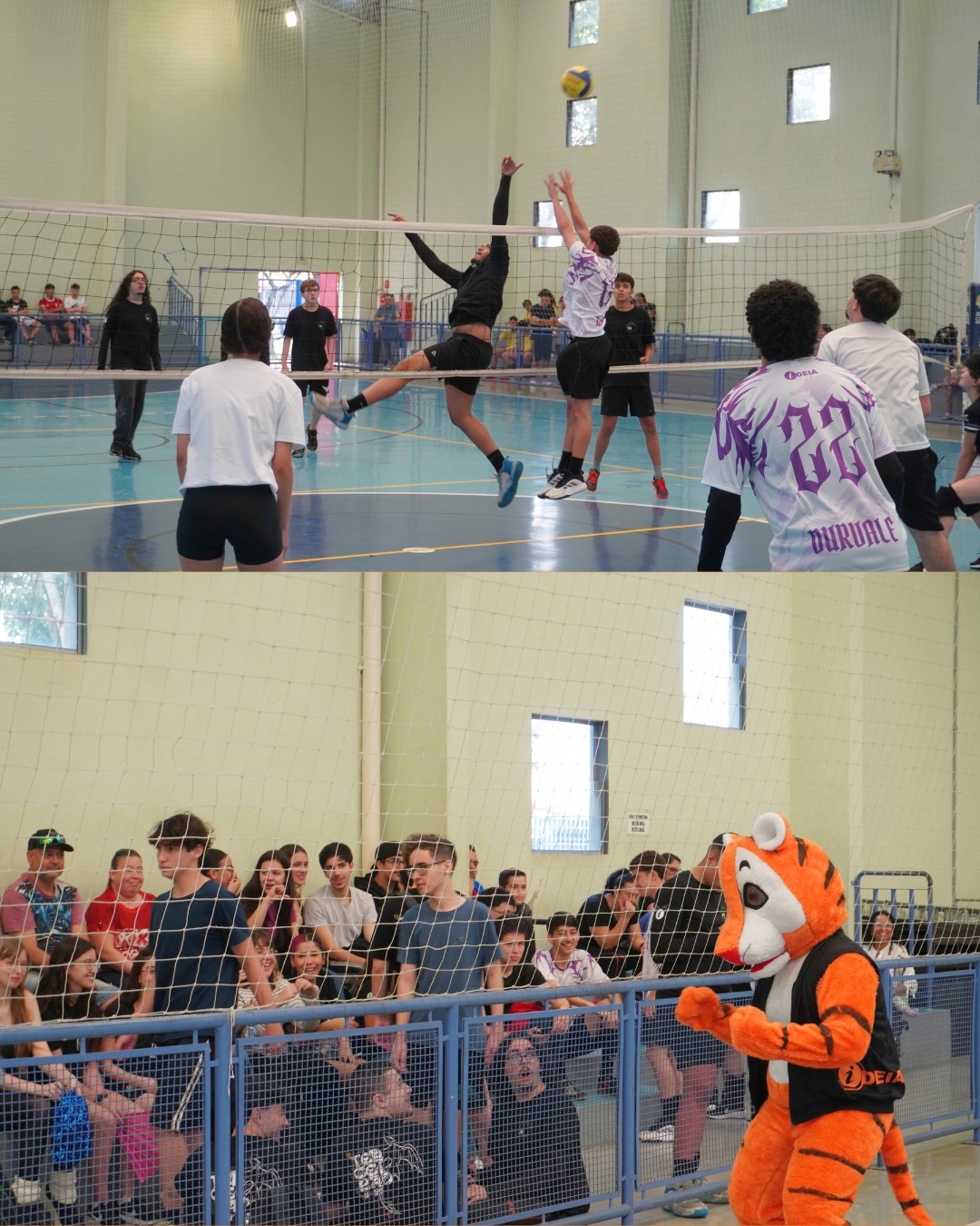 Mascote do Instituto IDEIA animando a torcida durante o INTER IDEIA